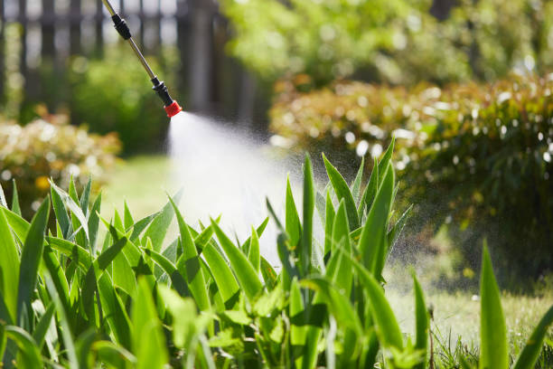 24/7 Emergency Mosquito Control experts in Salt Lake City, UT