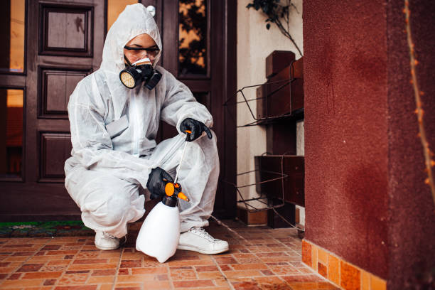 Reliable Mosquito Control contractor in Salt Lake City, UT by Show Me Pest Control